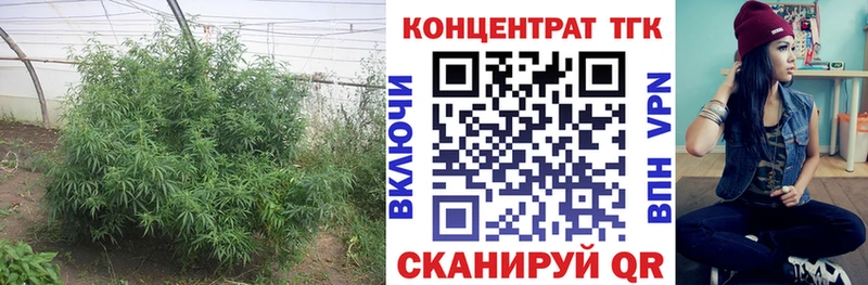 Дистиллят ТГК Wax  Сургут 