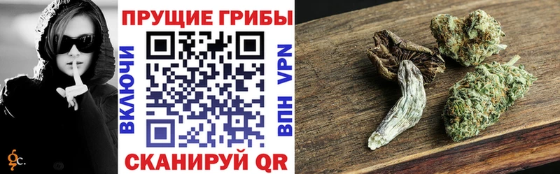 kraken как зайти  Сургут  Псилоцибиновые грибы GOLDEN TEACHER 